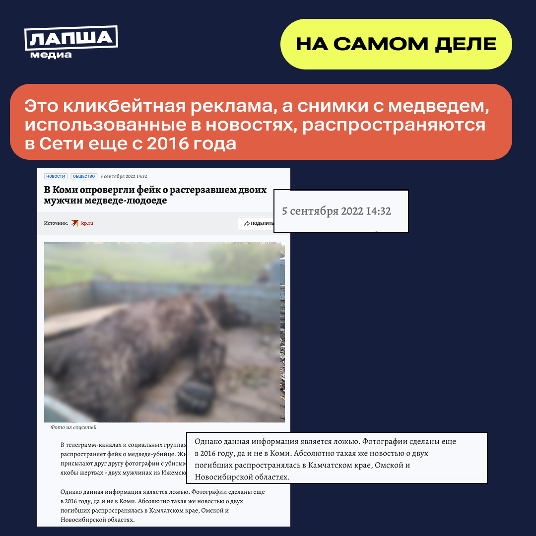 Realnost Medved