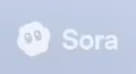 Sora