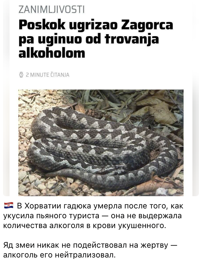 Zmeja Sshshsh