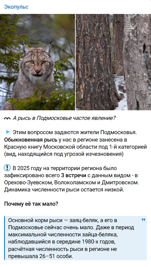 Annotacija 2025 11 11 124817