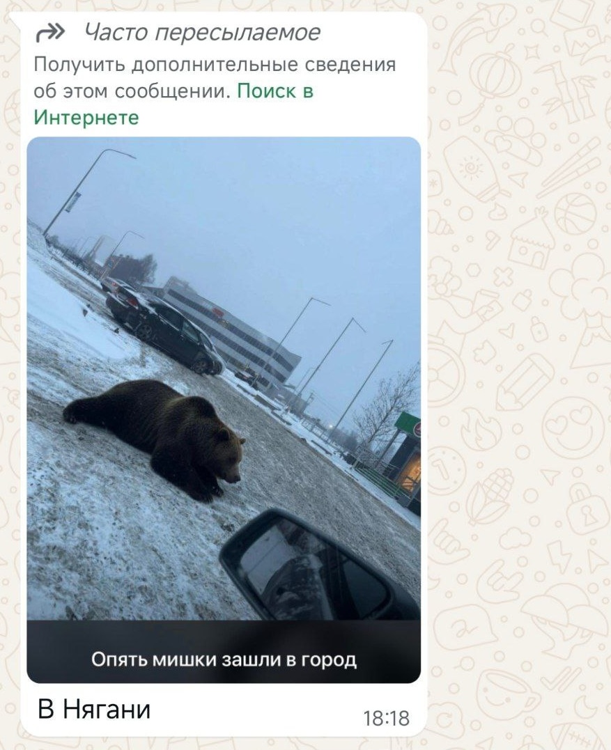 E05293c1 8aca 4f64 9e7d 77ffb4a936d0