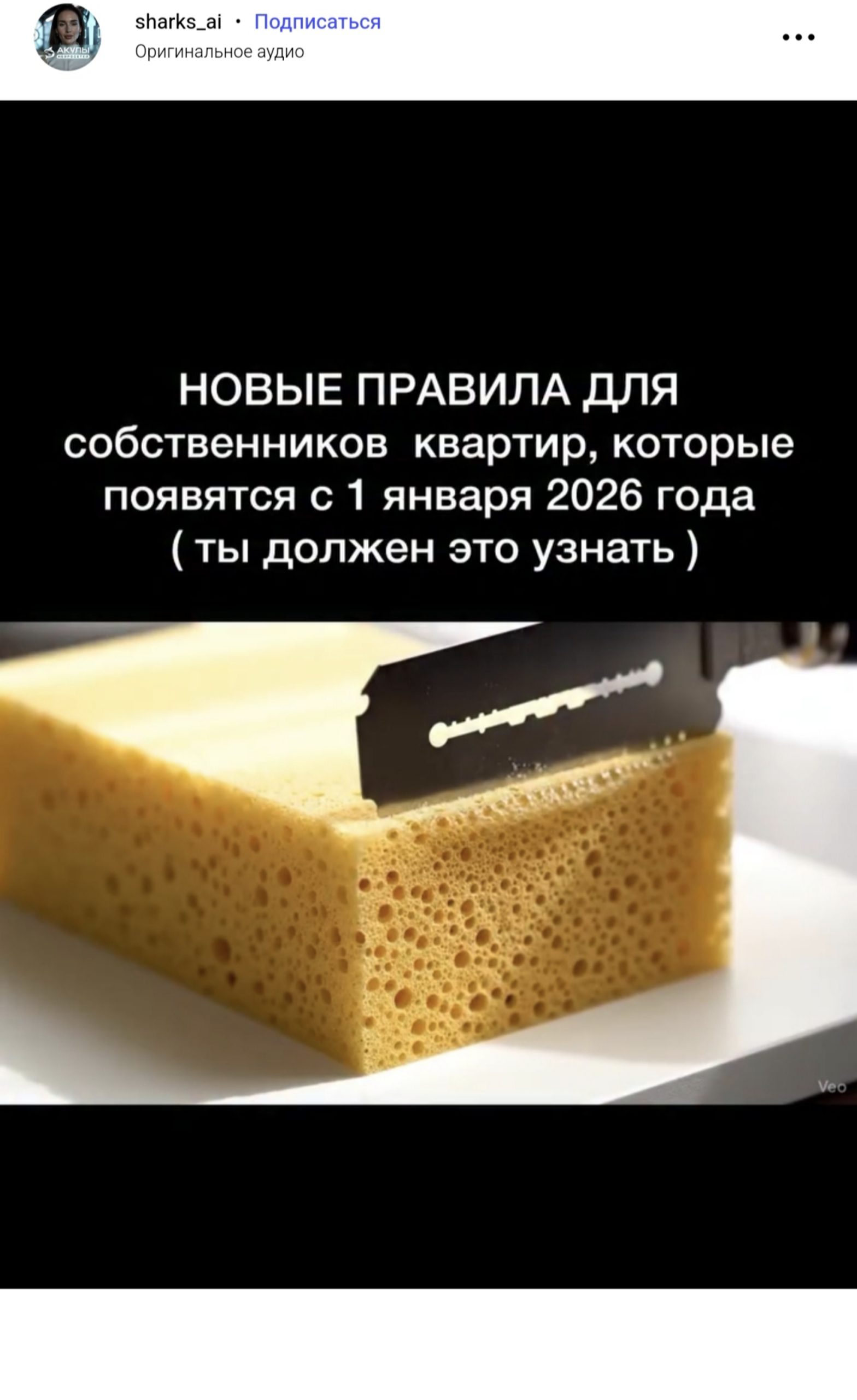 Img 20251124 124138 Scaled