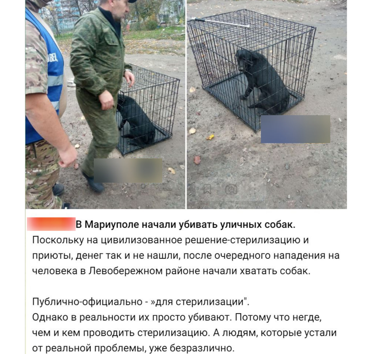 Photo 2025 11 18 11 48 26