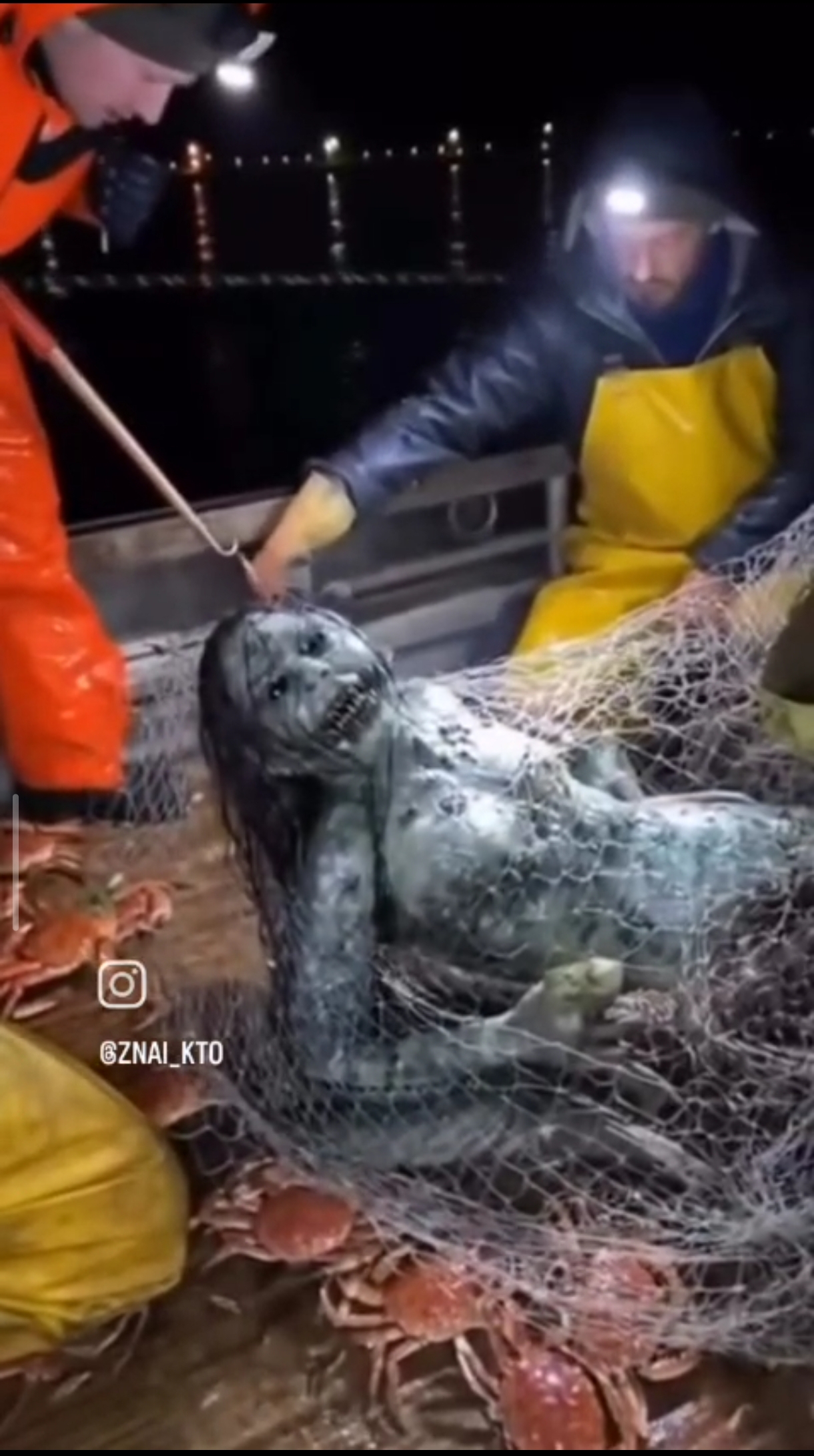 Screenshot 2025 11 14 12 53 43 476 Org.telegram.messenger Edit