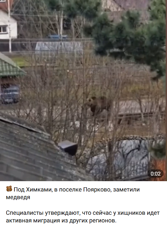 Annotacija 2025 12 12 102659