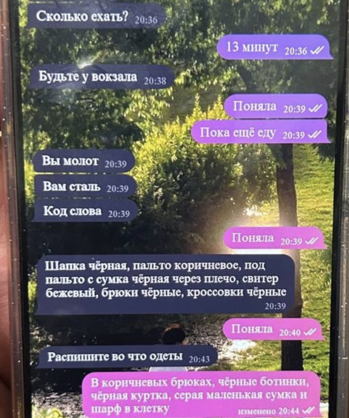 Snimok Jekrana 2025 12 26 V 17.31.48