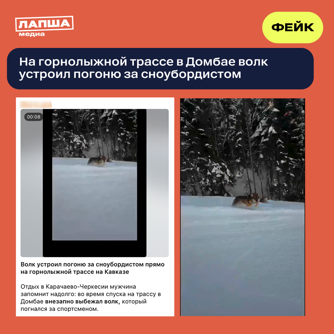 Sravnenie 1 Fejk Volk