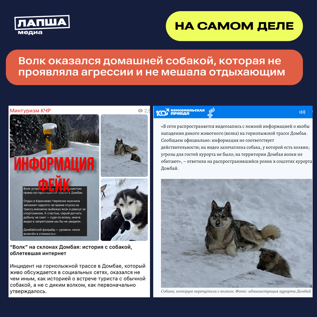 Sravnenie 2 Pravda Volk