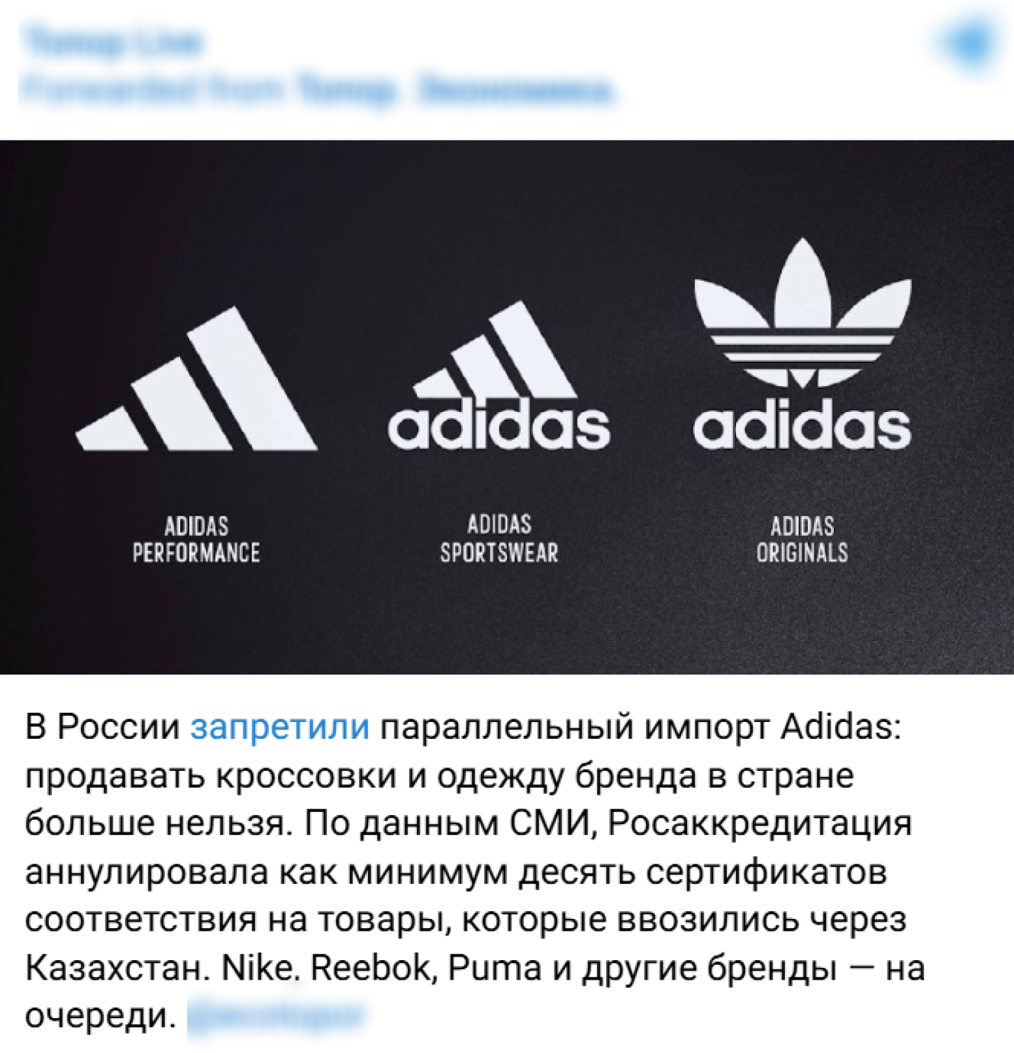 Image 2026 02 13 18 19 01