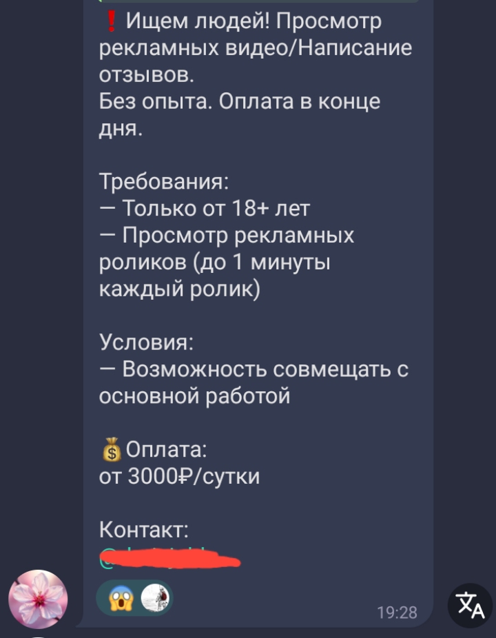 Img 20260215 194921 674