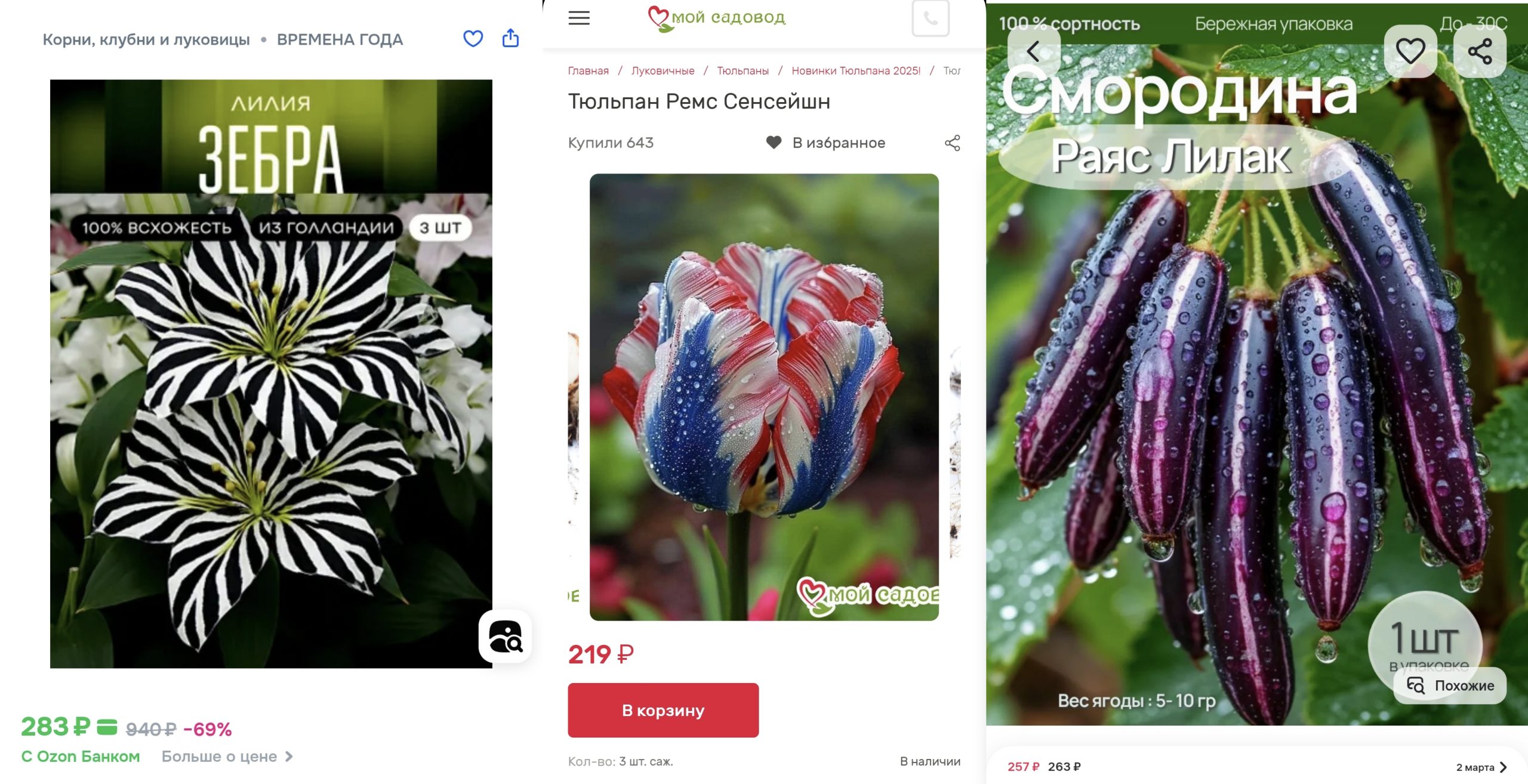 Img 20260225 121238 Scaled