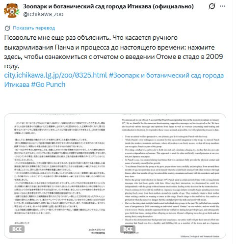 Photo 2026 03 04 13 15 28