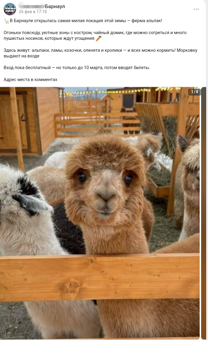 Screenshot 20260320 120400