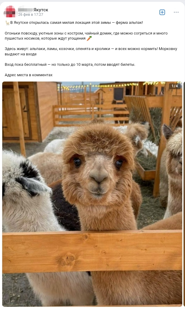 Screenshot 20260320 120717