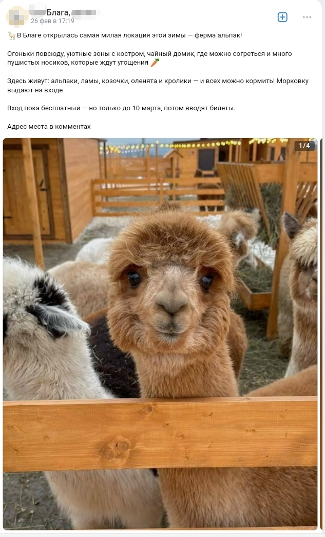 Screenshot 20260320 120931