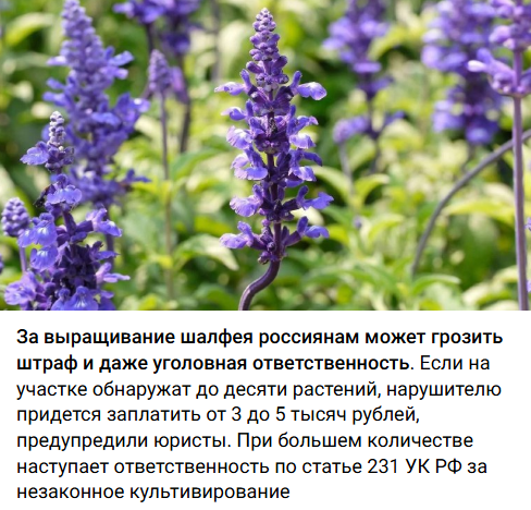 Snimok Jekrana 2026 03 30 113535