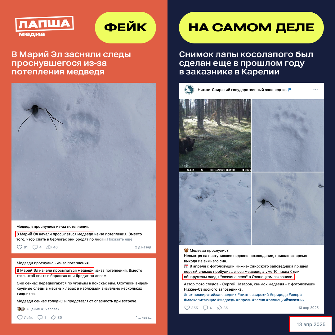 Sravnenie 1 2 Kvadrat 4