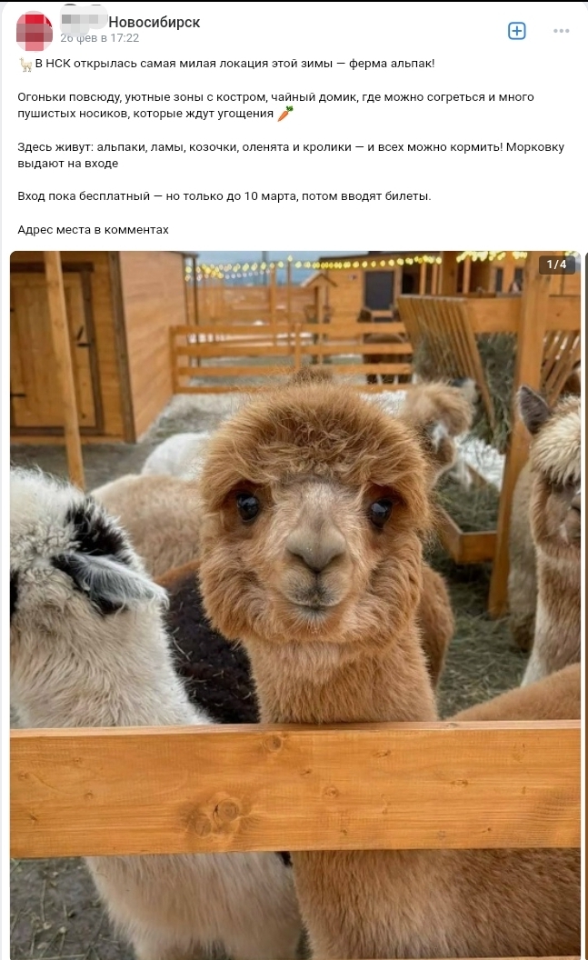 Upload 2026 03 20 12 21 28 177