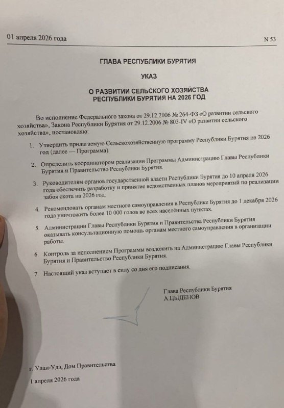 Photo 5364329658272388659 X