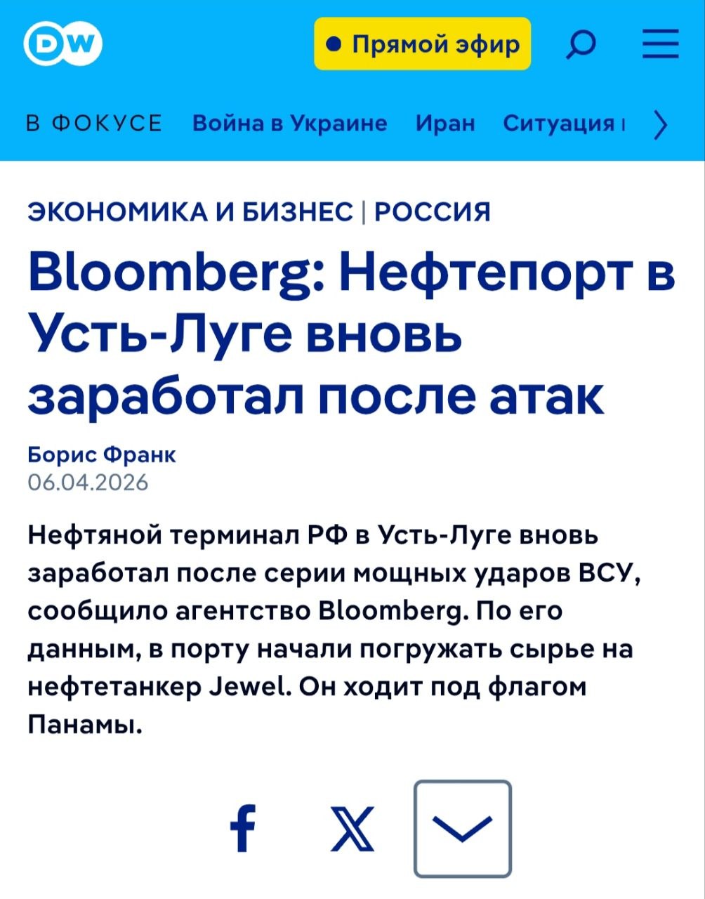 Photo 5379862867059873369 Y