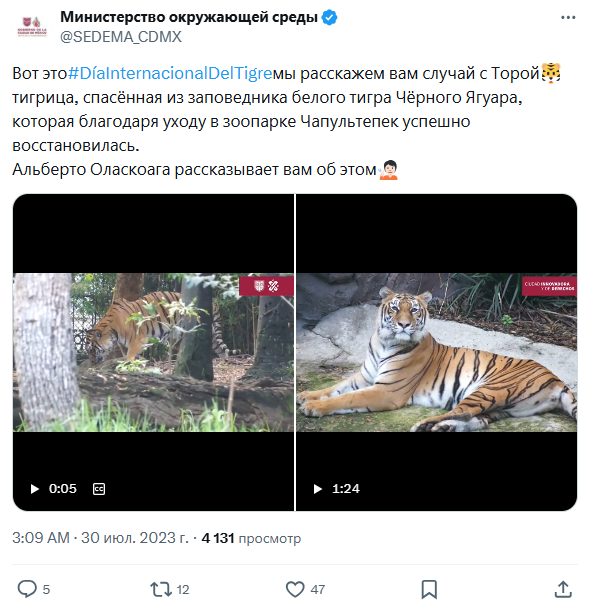 Snimok Jekrana 2026 04 25 122524