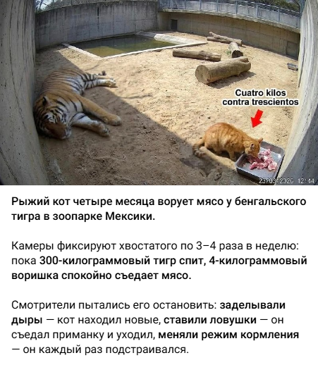 Snimok Jekrana 2026 04 25 122948