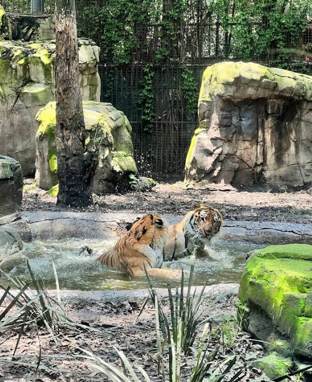 Snimok Jekrana 2026 04 25 125347