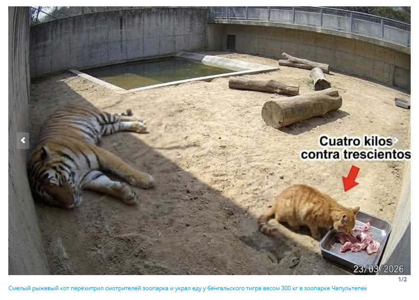 Snimok Jekrana 2026 04 25 132128