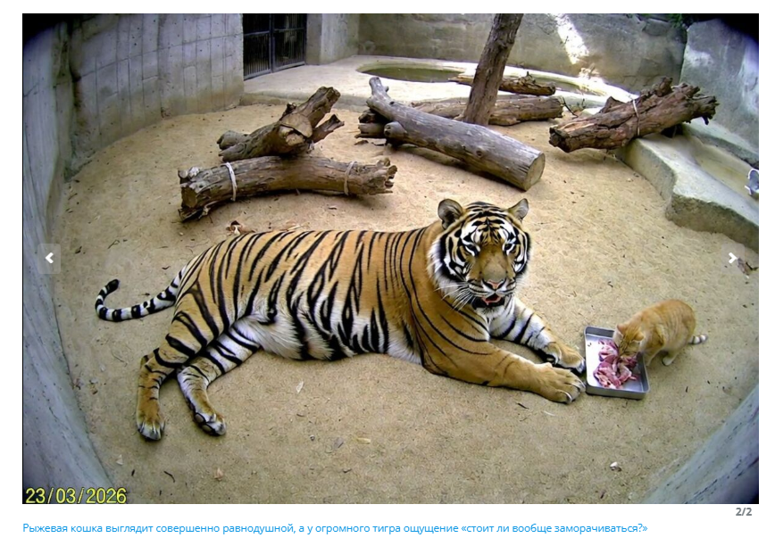 Snimok Jekrana 2026 04 25 132148