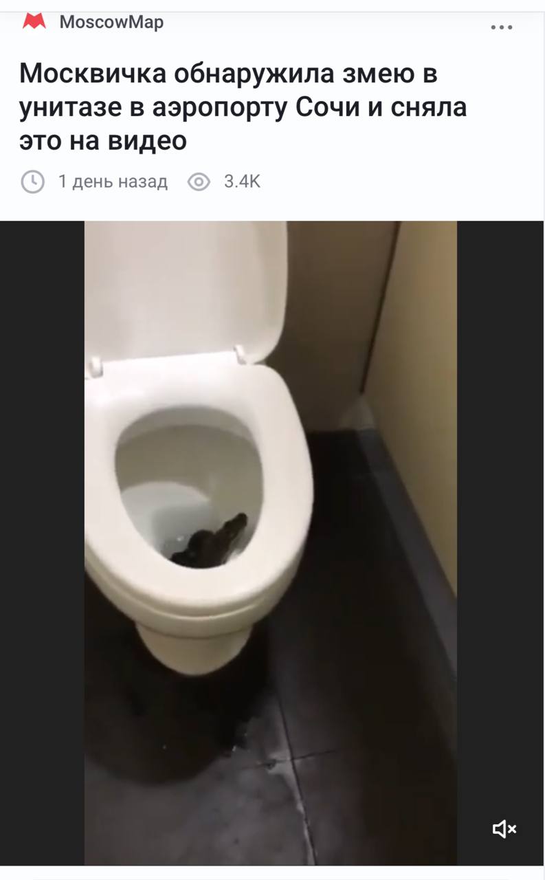 5240137900064709853