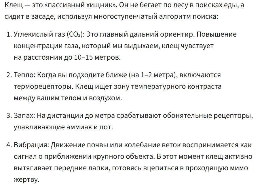 Gazeta Ru Kleshh
