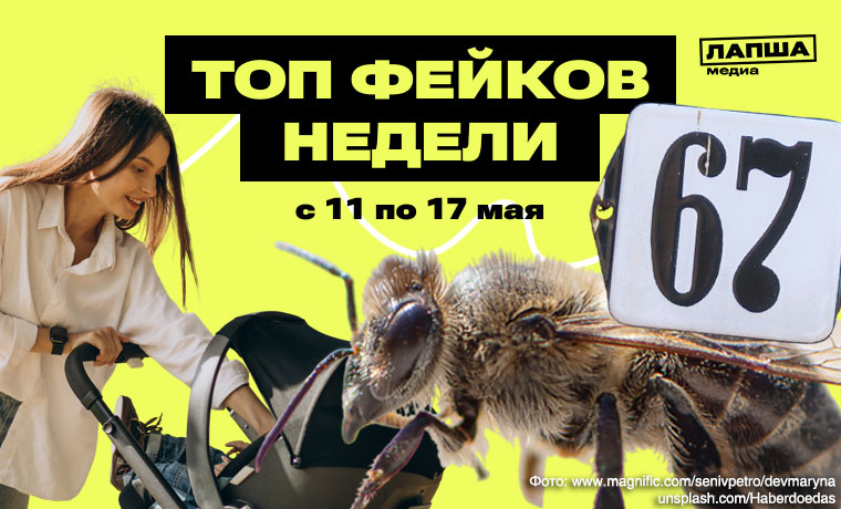 Отмена мема 6-7, задача рожать по 3-4 ребенка и фуры с опасными пчелами из Узбекистана