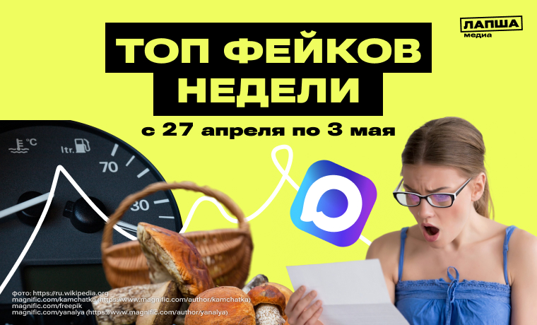 МАХ — шпионское ПО, снижение нештрафуемого порога превышения скорости и грибы через «Госуслуги»