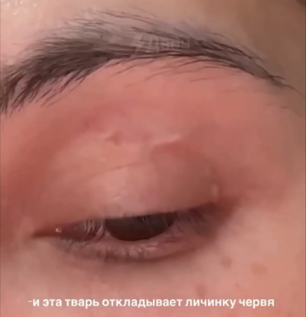 Img 20260629 114733