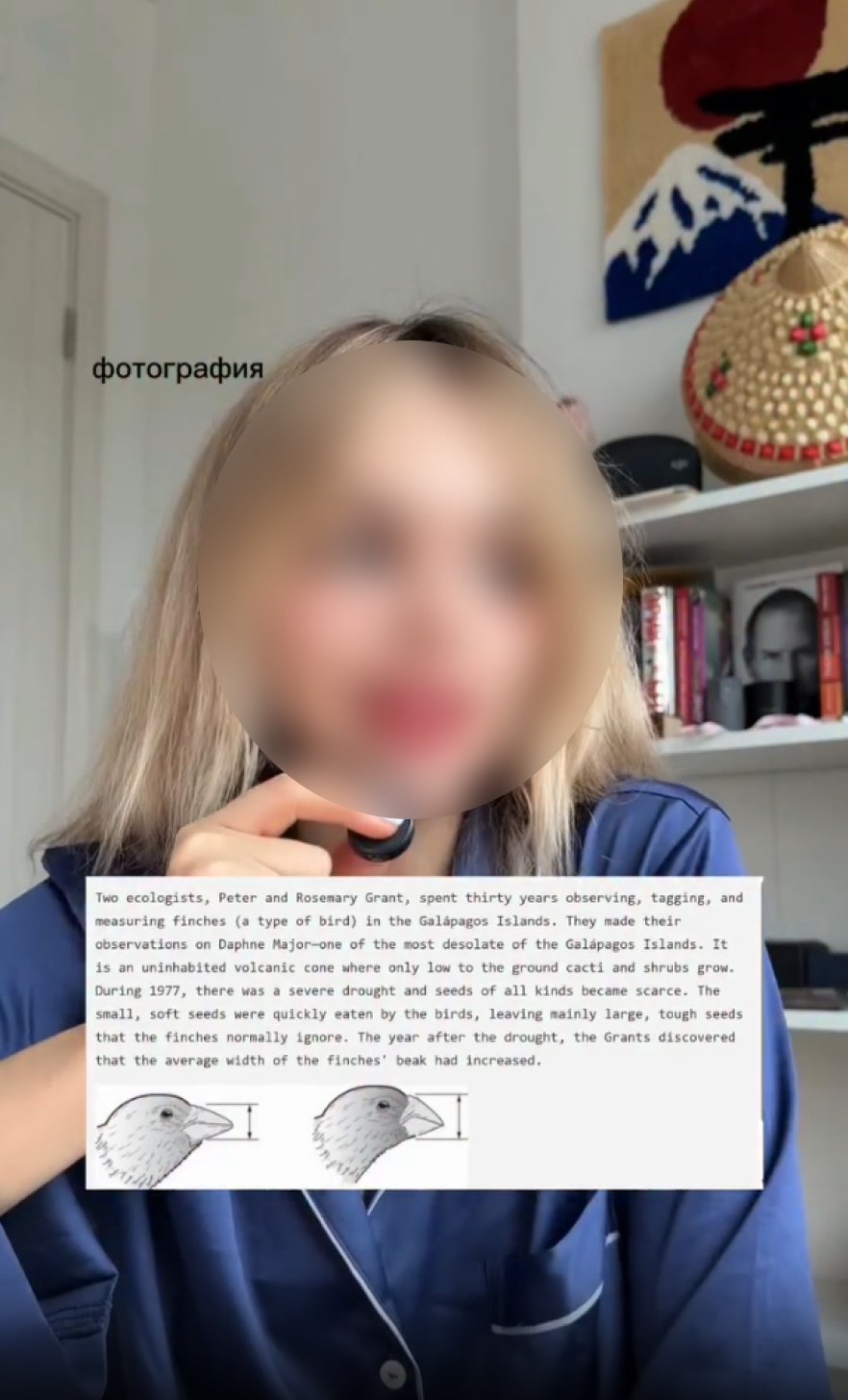 Fejk Egje 1