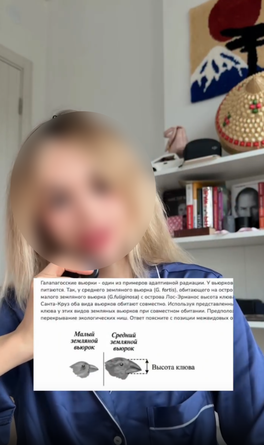 Fejk Egje 2