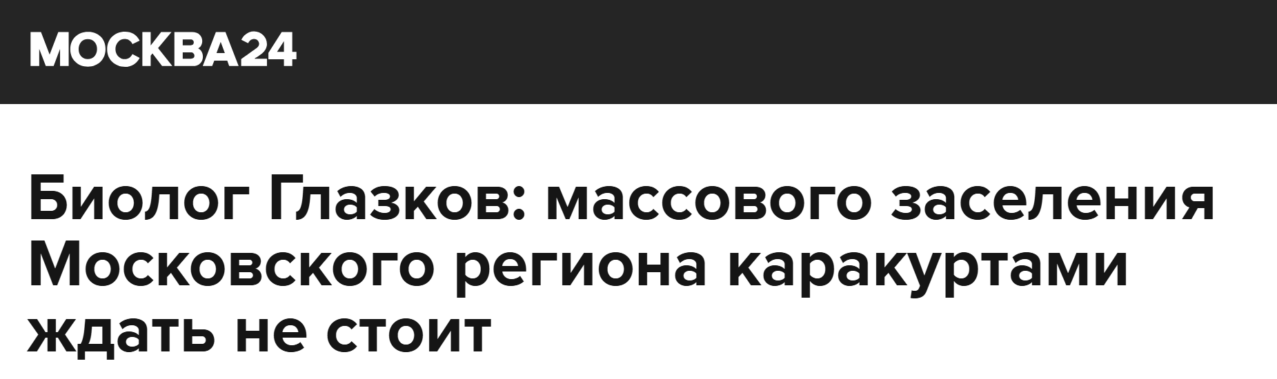 Glazkov