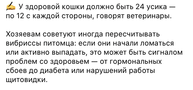 Snimok Jekrana 2026 07 07 V 11.02.39