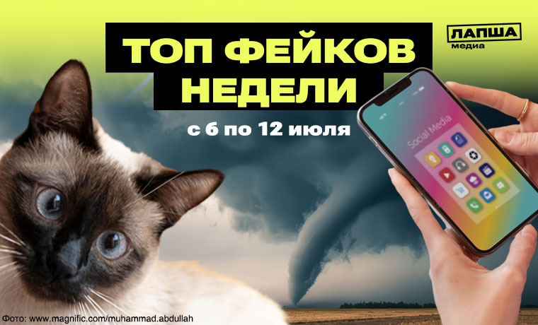 У здоровых кошек должно быть 24 усика, на Москву обрушатся смерчи, а «Яндекс Пэй» удалили из App Store