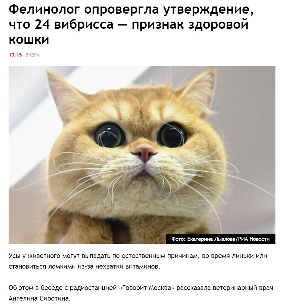 Veterinar