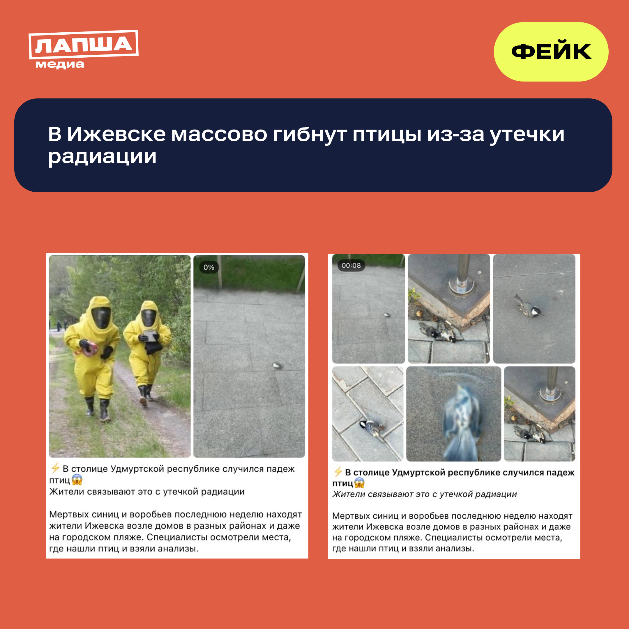 Image 2026 08 26 11 48 29