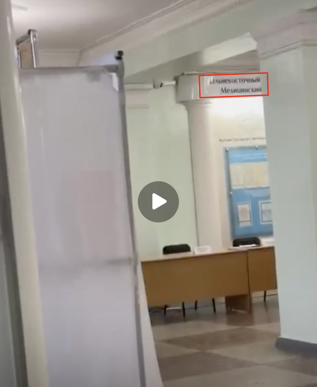 Pravda Chelovek Pauk