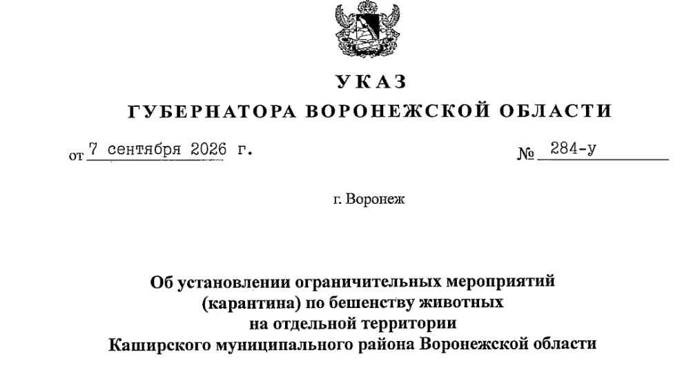 Snimok Jekrana 2026 09 15 102353