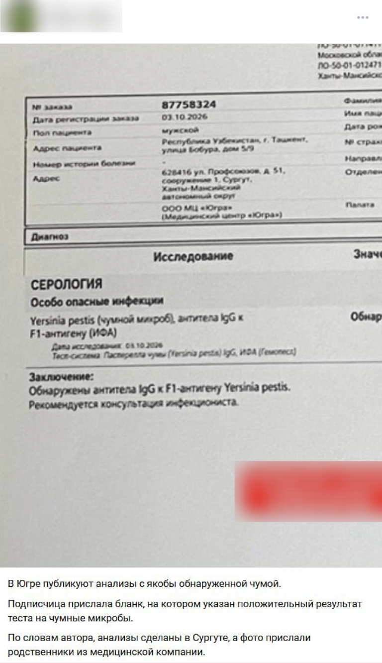 Snimok Jekrana 2026 10 08 V 12.00.36