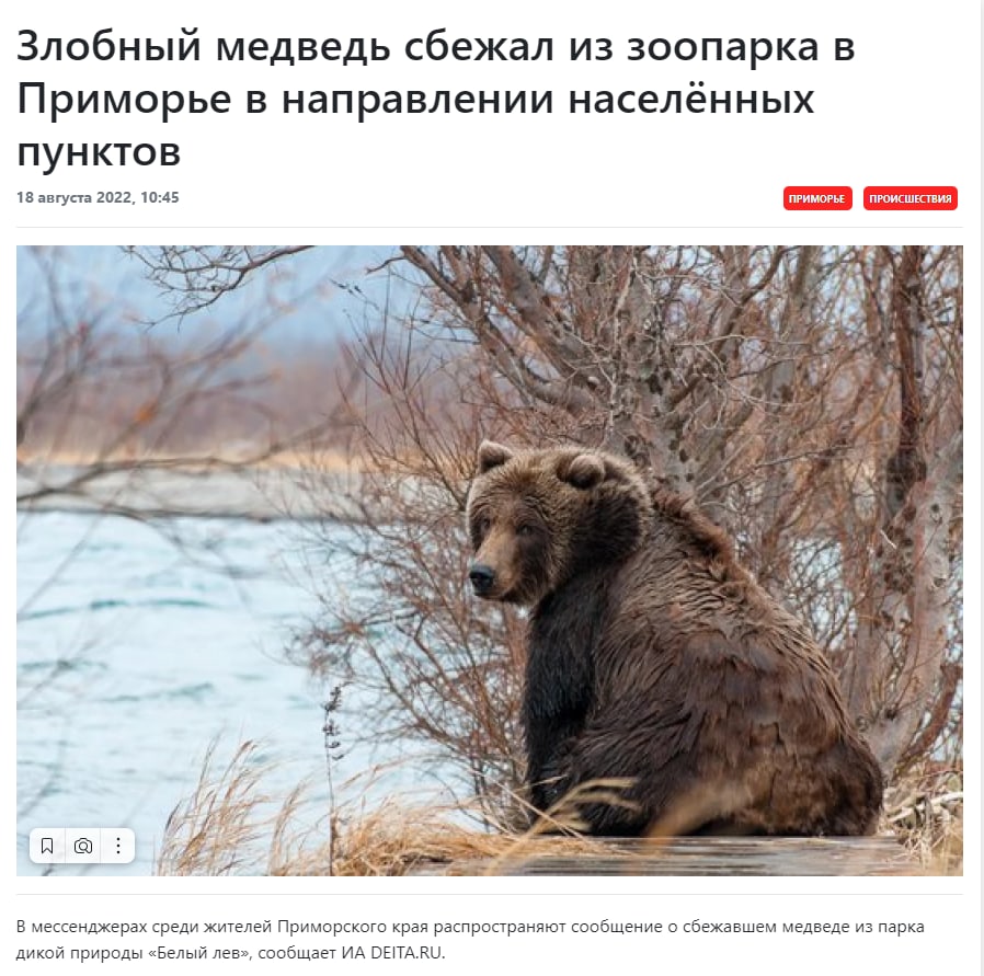 В Приморье из зоопарка сбежал медведь