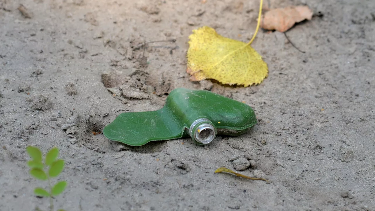 В Брянске нашли мину возле детского сада