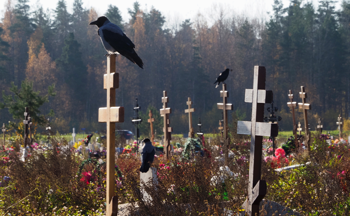 Участникам СВО выделят землю на кладбище под строительство жилых домов