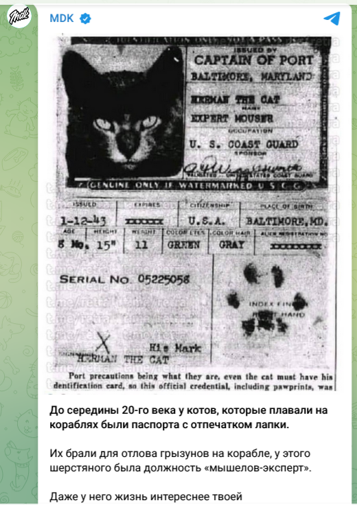 До середины 20-го века котам на кораблях выдавали паспорта