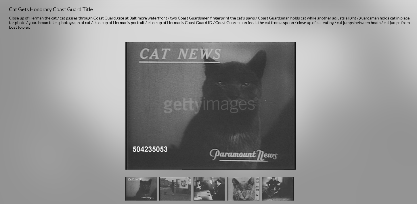Screenshot 2023 02 03 At 15 27 55 Close Up Of Herman The Cat   Cat Passes Through Coast Guard Gate At