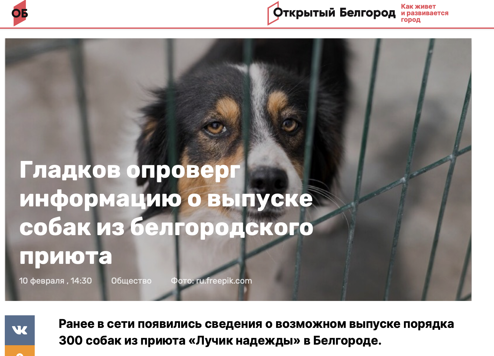 Около 300 собак из белгородского приюта отправят на улицу
